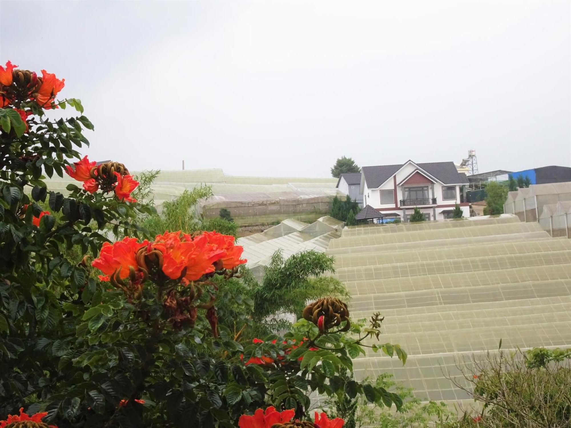 Mento Villa Dalat Luaran gambar