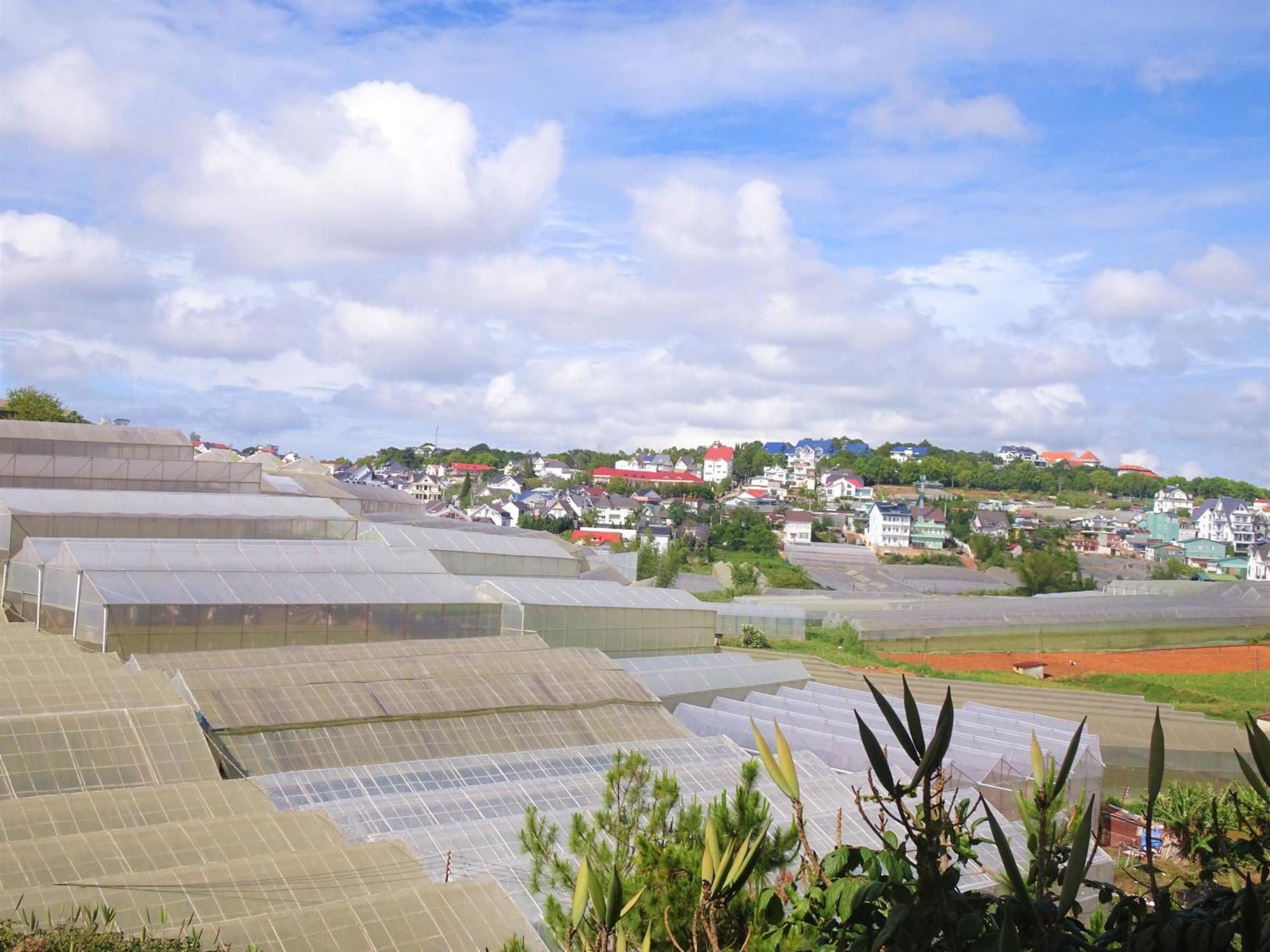 Mento Villa Dalat Luaran gambar