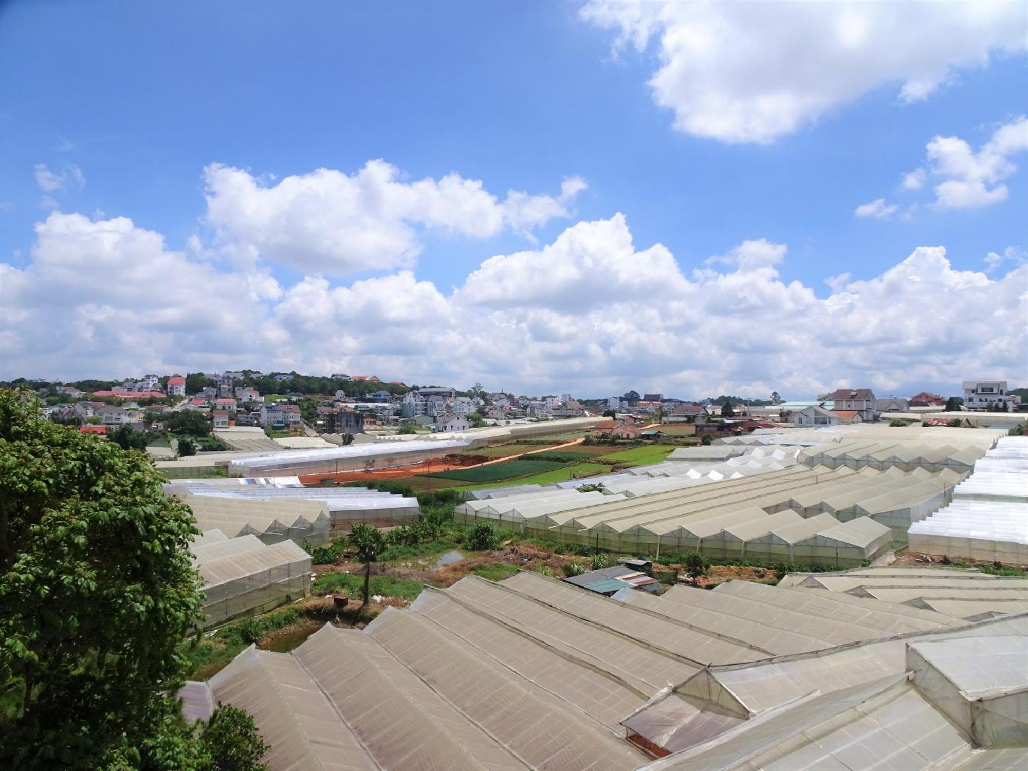 Mento Villa Dalat Luaran gambar