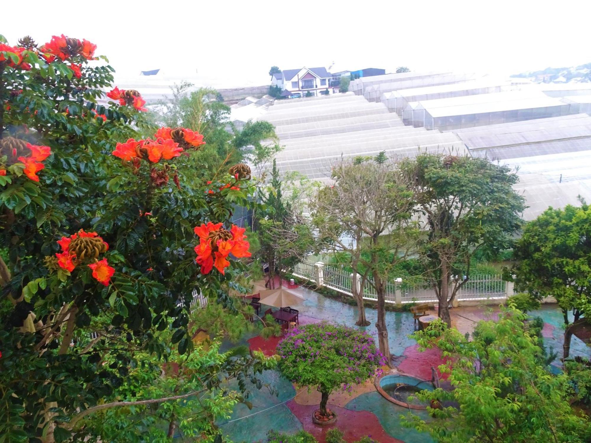 Mento Villa Dalat Luaran gambar
